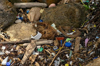 В Богатовском районе ликвидируют незаконную свалку