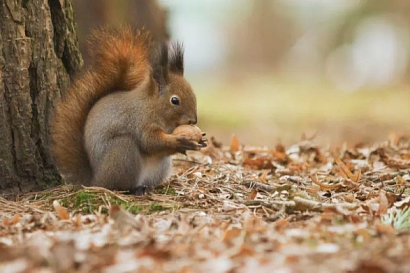 Название статьи