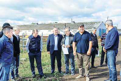 Законы для агропрома: как парламентарии участвуют в развитии отрасли