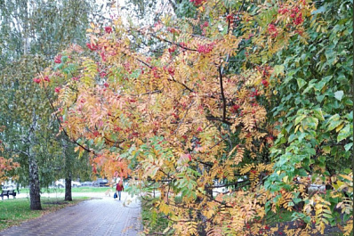 Осеннее солнце: синоптики рассказали о погоде в Самарской области в предстоящие выходные