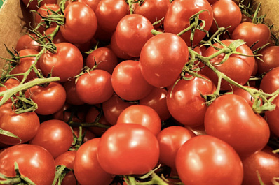 От этики до здоровья: в Роскачестве рассказали, чем полезно веганство