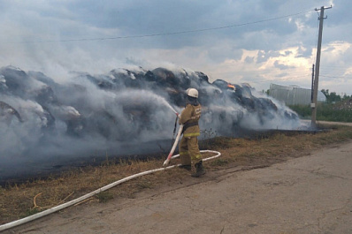 Пожар на ферме под Сызранью: эвакуировали 70 коров
