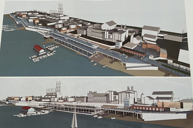Проект эстакады между набережными в Самаре отправят на голосование в сентябре 2021 года