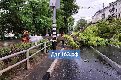 Ураган вырвал в Самаре дерево с корнем и повалил прямо на ехавший по дороге автомобиль
