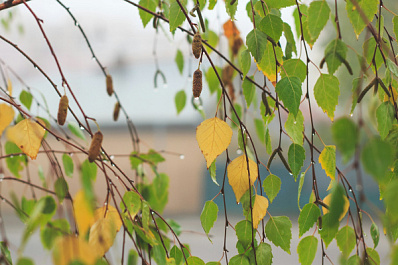 Погода на 31 июля 2025 года: народные приметы и прогноз синоптиков