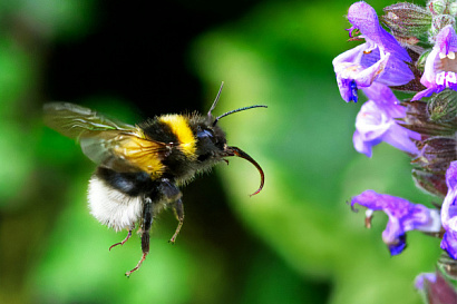 Название статьи