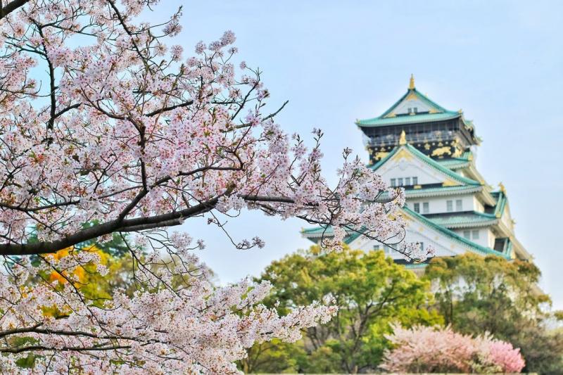 Япония впервые за два года вновь стала принимать туристические группы