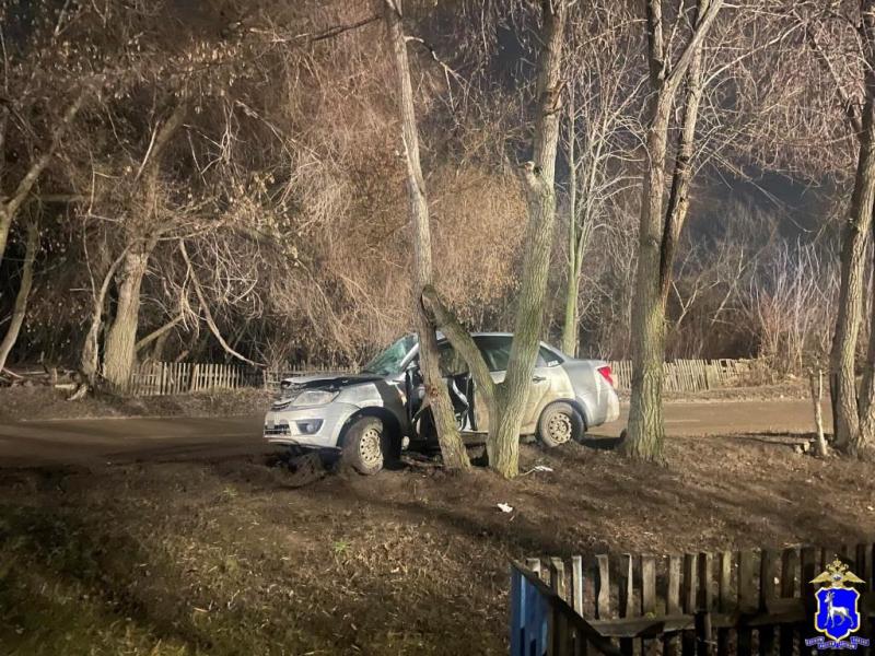 В Самаре 21-летний мужчина на "Гранте" врезался в дерево
