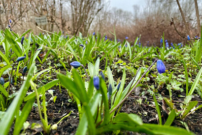 Название статьи