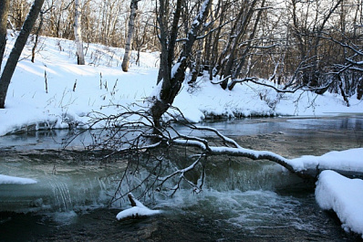 Под Самарой расчистят реку, чтобы она не затопила Южный город