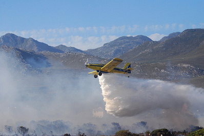 Объявлен режим ЧС: в Самарской области Минсельхоз борется с саранчой