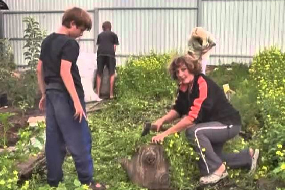 Дачные советы 30.08.2012