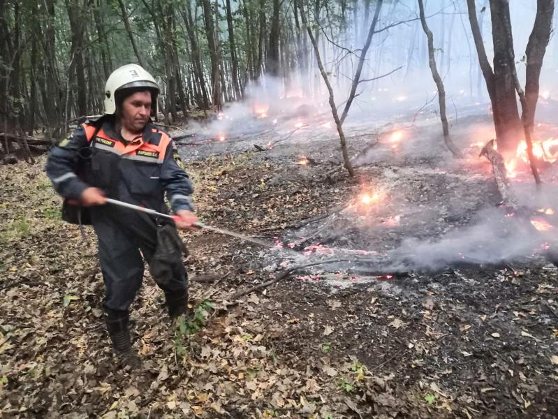 "Сил и средств достаточно": в нацпарке "Бузулукский бор" продолжается тушение пожара