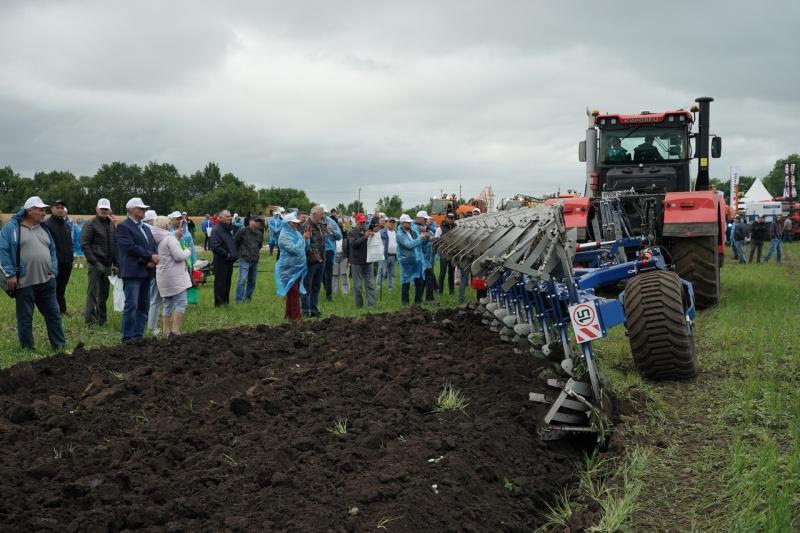 Во поле стояли: о процессах аграрного сектора Самарской области