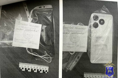 В Самарской области у женщины с детьми украли телефон в парке 