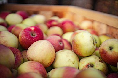 В Роспотребнадзоре рассказали, чем питаться будущей матери 