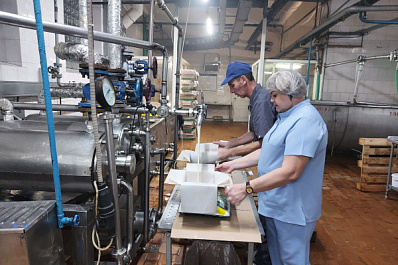 Как делают "молочку" в Красном Яре: репортаж с завода, который перерабатывает до 50 тонн сырья в сутки