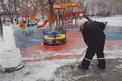 Елена Лапушкина: "Обработка производится многократно и регулярно"