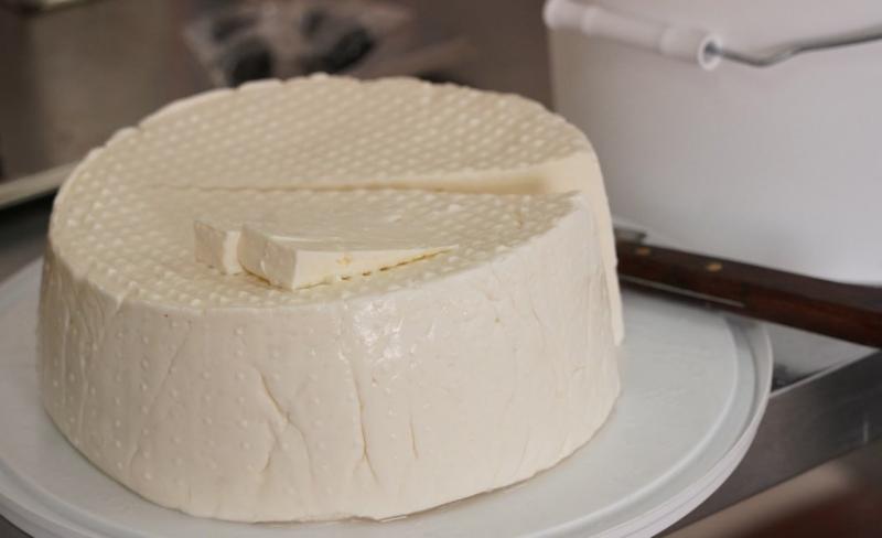 И сыры, и йогурты: в Красноярском районе развивается производство продукции из овечьего молока