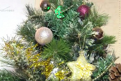 Всероссийский проект "Елка желаний" помог исполнить заветные желания детей из Самары