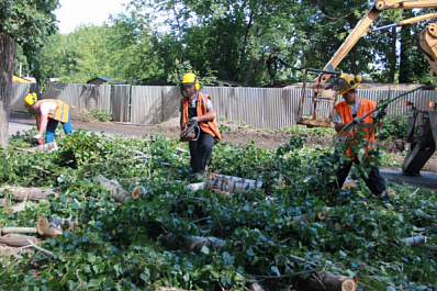 Самарцы угрожали коммунальщикам, пилившим деревья