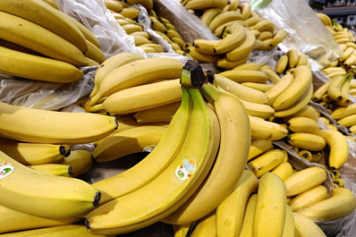 Бананы, манго, маракуйю и авокадо будут выращивать на юге России