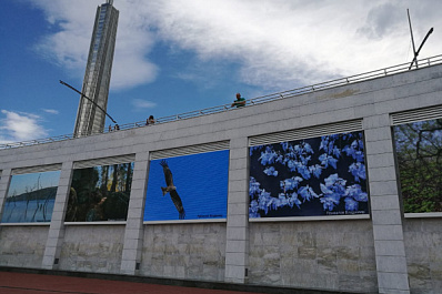 В Самаре на склоне у площади Славы заработала цифровая фотовыставка "Всё, что является частью вселенной"