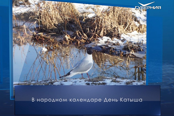День Катыша. Календарь губернии от 4 марта