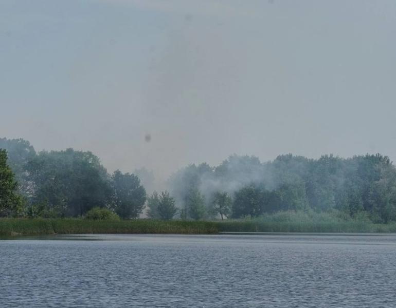 В Самарской области с 17 по 20 июня повышен риск лесных пожаров