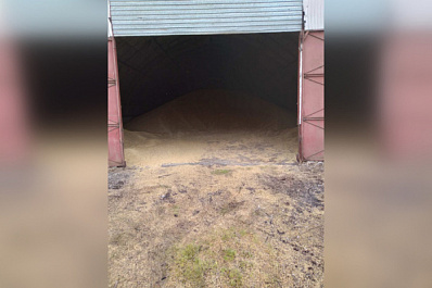 В Самарской области мужчина ради птиц украл 1,5 тонны ячменя