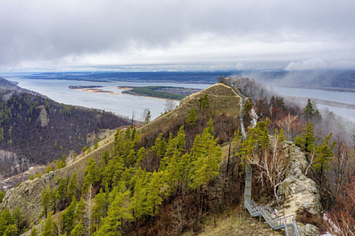 В Самарской области появились "грибы-подснежники"