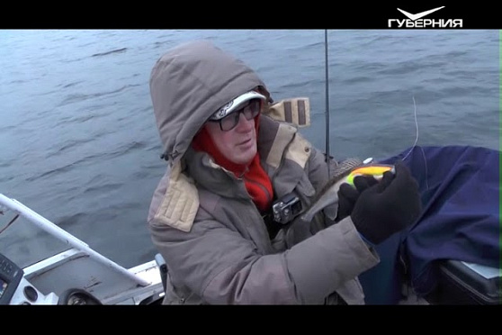 Ловим судака и щуку. Рыбацкое счастье от 14.11.2017