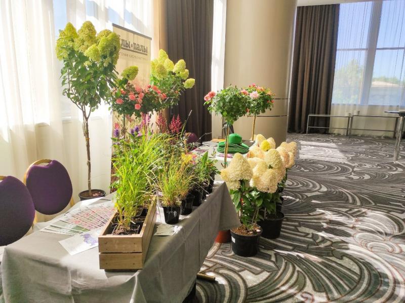 В Самаре 6 июля открылся летний ландшафтный форум