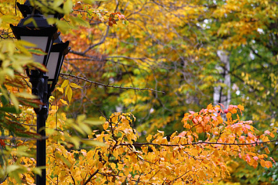 Центральная площадь в Тольятти скоро озарится светом