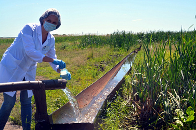 Кинельский район - в числе победителей "ЭкоЛидера-2020"