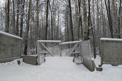 Самарцы сообщили о вырубке деревьев у лыжной базы "Чайка"
