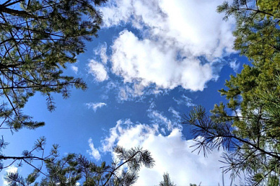 Погода на 1 апреля 2025 года: народные приметы и прогноз синоптиков