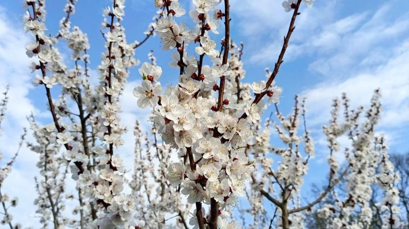 Народные приметы на 2 мая 2025 года: что нельзя делать в этот день