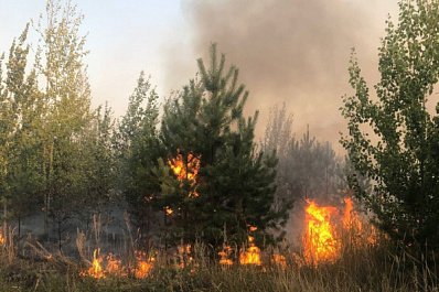 Причиной крупного лесного пожара в Тольятти мог стать поджог