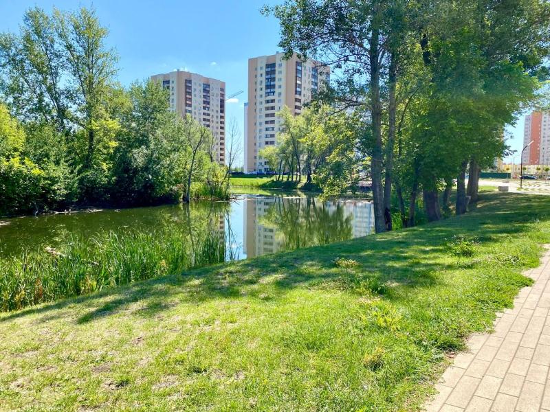 Правительство РФ: работа по улучшению качества городской среды в регионах продолжится