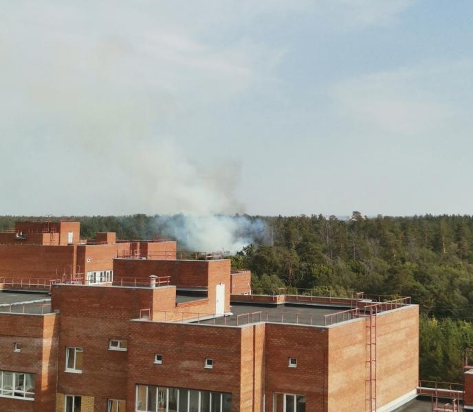 В лесничестве Тольятти днем 1 сентября выявили новые очаги возгорания