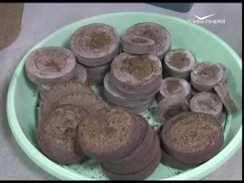 Обработка овощей и культур. Дачные советы от 11.01.2018