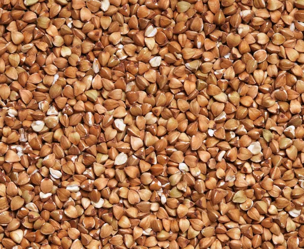 В Роспотребнадзоре опровергли информацию о запрете "солдатской каши" на 9 Мая