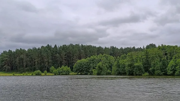 В Самарской области за выходные три раза спасли лес от огня