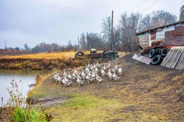 Народные приметы на 10 июня 2025 года: что нельзя делать в этот день