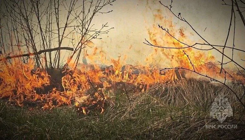 В Самарской области 3 июня вспыхнула сухая трава на 100 "квадратах"