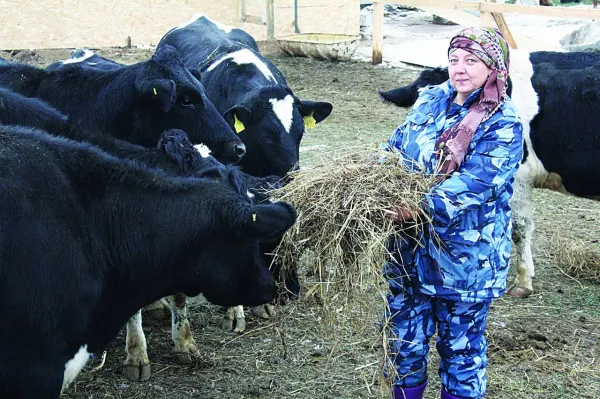 Стабильный рост АПК в Волжском районе обусловлен модернизацией отрасли