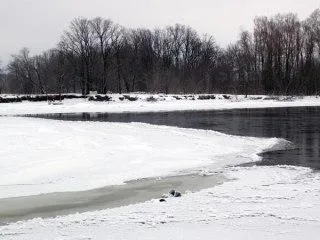 На Волге напротив Змеиного озера рыбак попал в промоину и вмерз в лёд