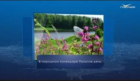 Проклов день. Календарь губернии от 4 мая