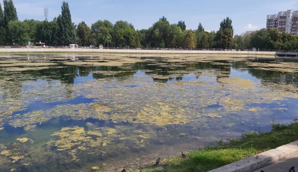 Жители Самары пожаловались на состояние озера на Металлурге